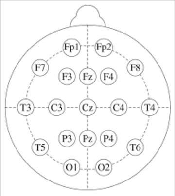19 nodes are labeled on a circular rendering of a scalp indicating the node positions on a standard 20-electrode EEG recording cap